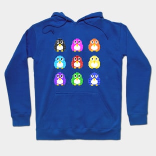 United Colors of Pengi Hoodie